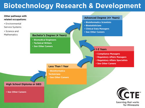 Biotechnology Research and Development Flow Chart